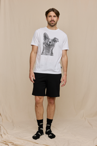 FM10004-991-S; Finlayson Kettu Shortsipyjama Mustavalkoinen / S 