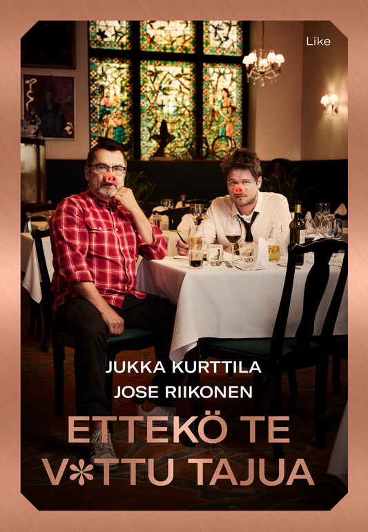 99100-0762; Finlayson Ettekö te v*ttu tajua Kirja Monivärinen / Onesize 